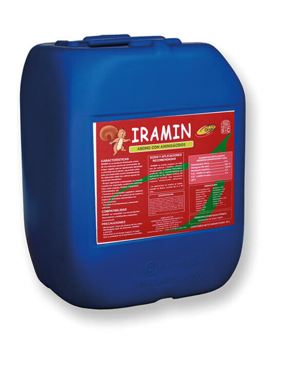 IRAMIN: aminoácidos